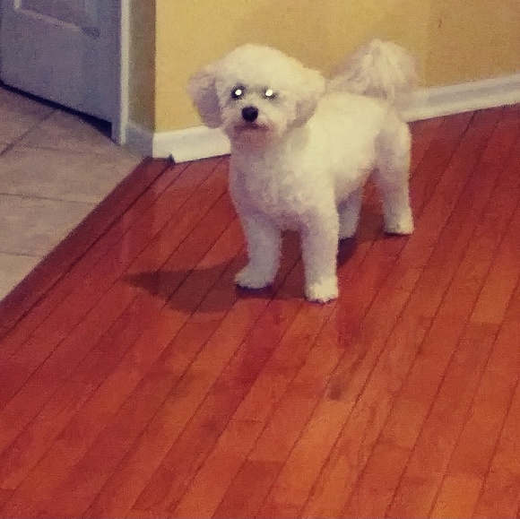 Meet your Posher, Mark - Picture 1 of 1